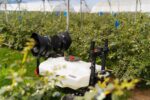 XAG R100 Agricultural Rover RevoSpray - Image 9